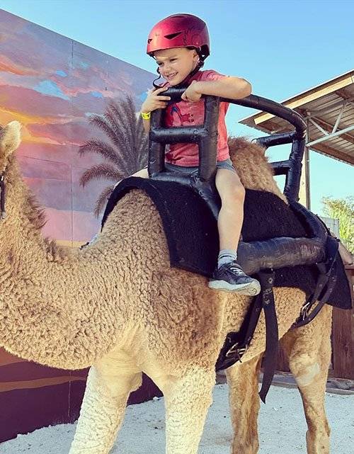 Camel_Rides