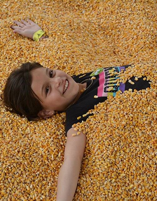 Corn Pit